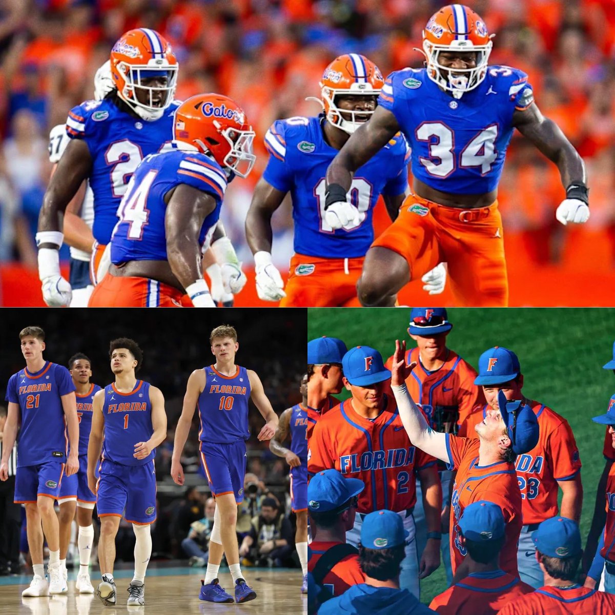 Florida is 1 of 14 schools to make a bowl game, March Madness, and the College Baseball NCAA Tourney 🐊

Everything school 🔥