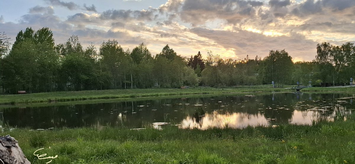 في #صمت الطبيعة، نجد أنفسنا.
الحياة مليئة بالتحديات .. لكن الأمل دائماً موجود فقط لمن يبحث عنه.

🌅🌳💫
من #تصويري اليوم #غابات_السويد 

"#الأمل هو القدرة على رؤية #النور رغم كل #الظلام." منقول