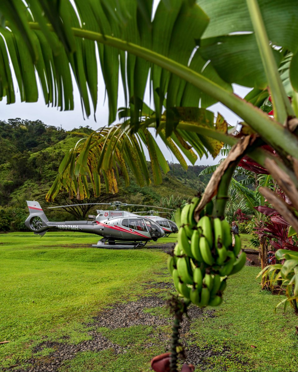 Just another day in the office! 🌴 🚁 #Maui
