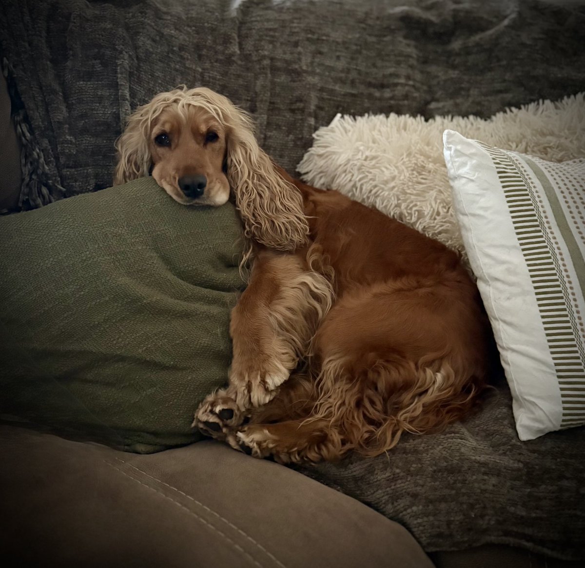 Clearly not happy with this weather 🌧️