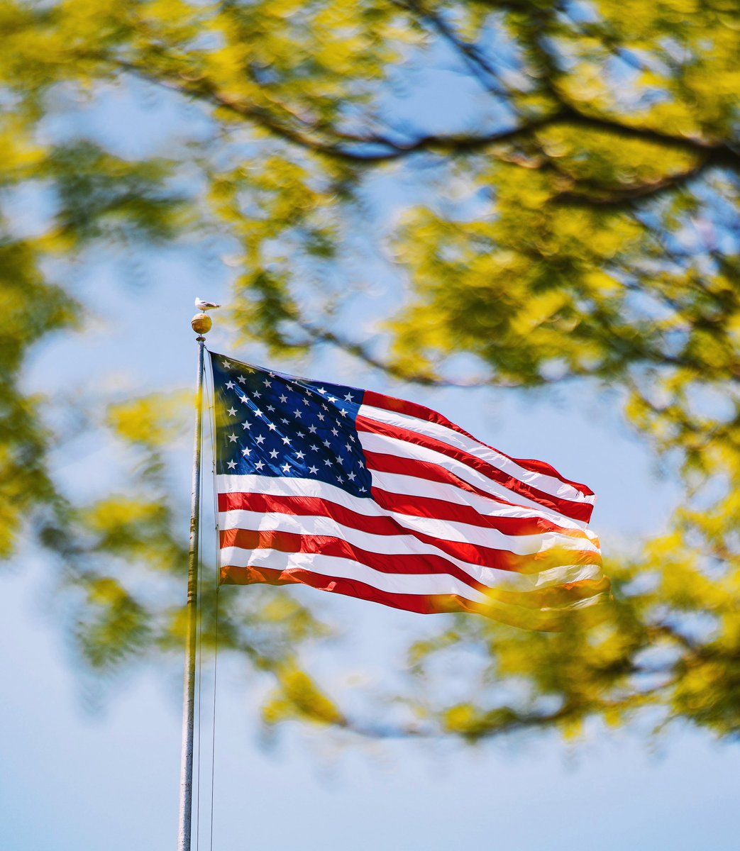 Today on Memorial Day, we remember and honor the brave men and women who made the ultimate sacrifice for our country. 

Thank you to all who have served – past and present – to protect our freedom. We are eternally grateful.