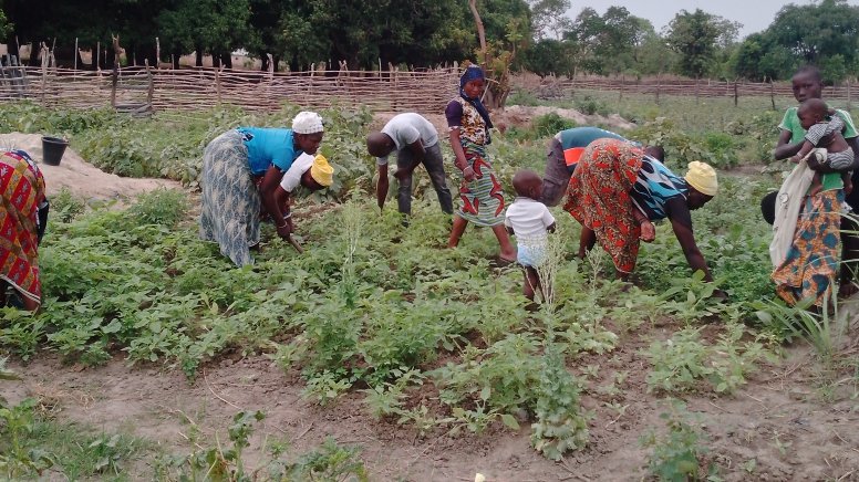 charaf_yarou's tweet photo. Une graine, une femme, un avenir.
Ce dimanche 25 #Mai,
l’#ONGTonkouro était aux côtés des femmes maraîchères de la coopérative Su ka Tii Yina dans le village de Guessoubani, commune de Sinendé (Nord-Bénin🇧🇯).(1) @ONU_fr @AminaJMohammed
@aminatousar @niangouse
@AFD_France https://t.co/123enTpVRi