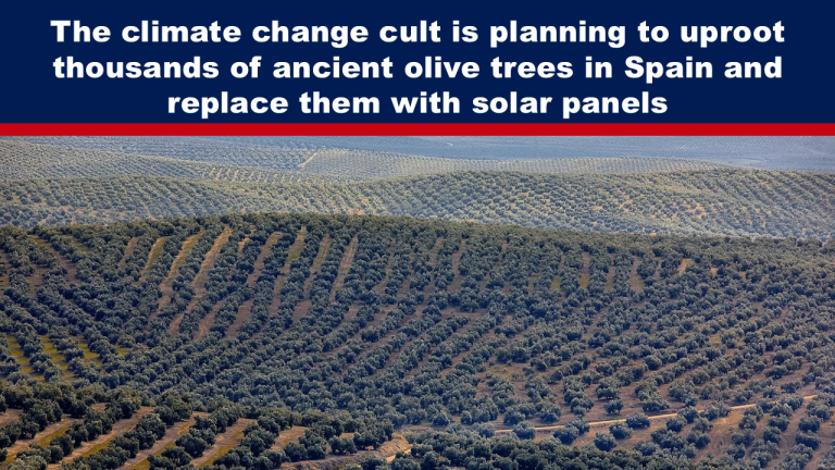 🙁 tinyurl.com/2znehvka