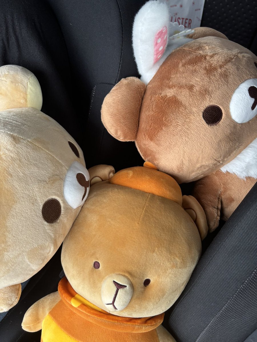 My goods from Round1 💕 so happy I got Mocha <a href="/milkmochabear/">Milk & Mocha</a> (will be back for milk trust)