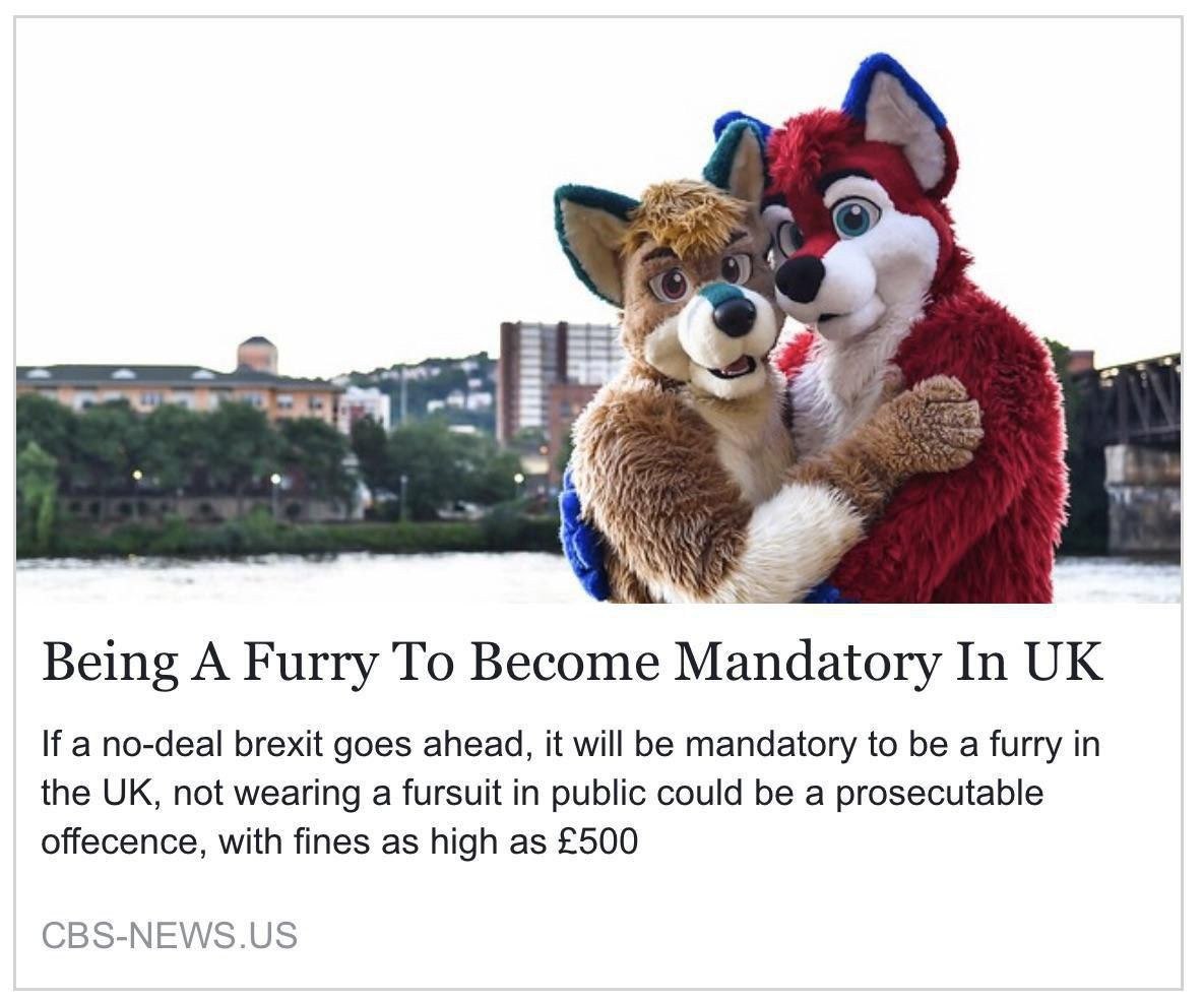 FurryMems's tweet photo. https://t.co/rpws66k6xC