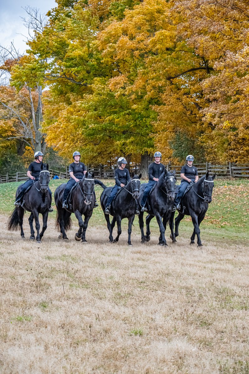 Blue_LineMag's tweet image. Recently, editor Brittani Schroeder spoke with Sgt. Denise Leonard of the @HamiltonPolice about the value of mounted units within a policing organization.
Read the full conversation here: blueline.ca/qa-the-hidden-…
#Police #LawEnforcement #MountedUnit