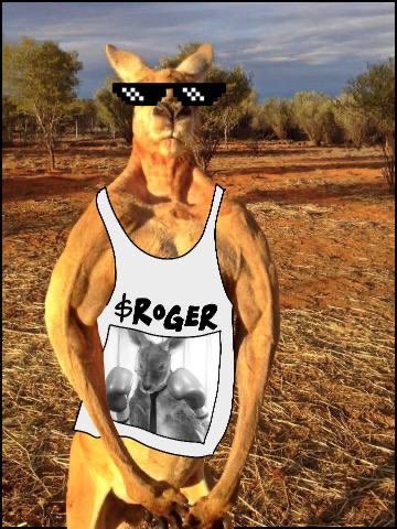 RogerCoinOnSol's tweet image. Did you miss me?
#RogerNeverDies 🦘🔥