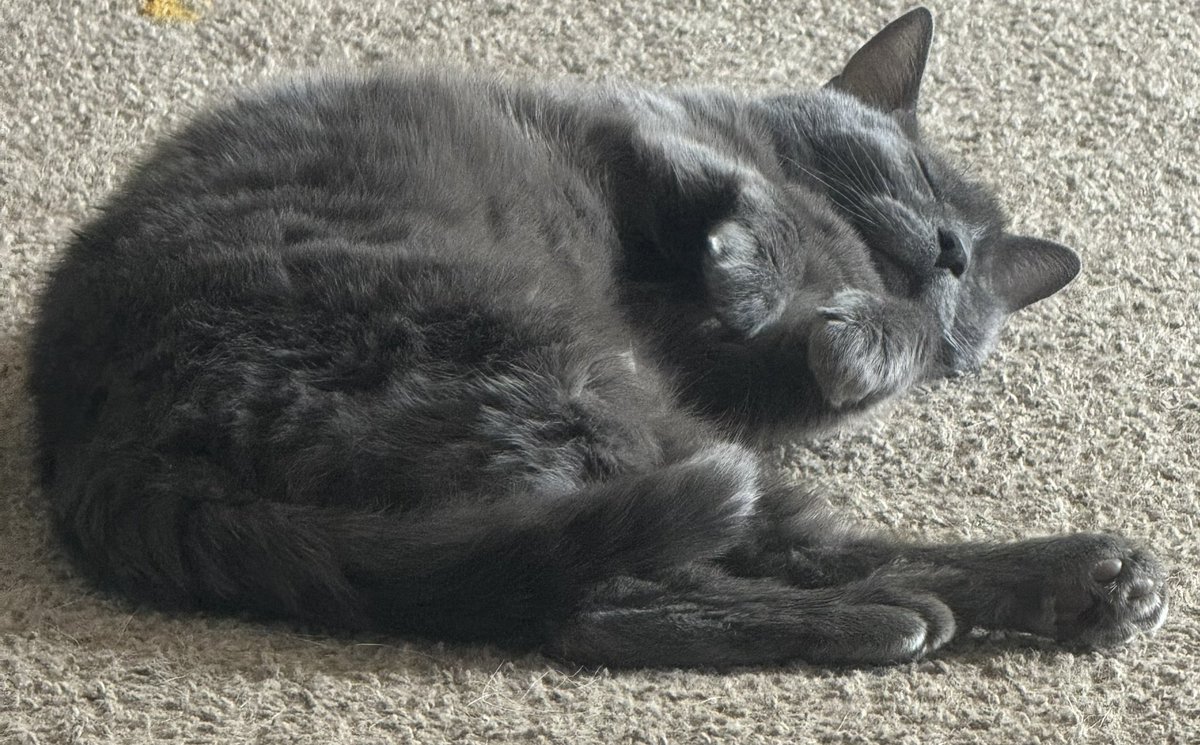 So sleepy