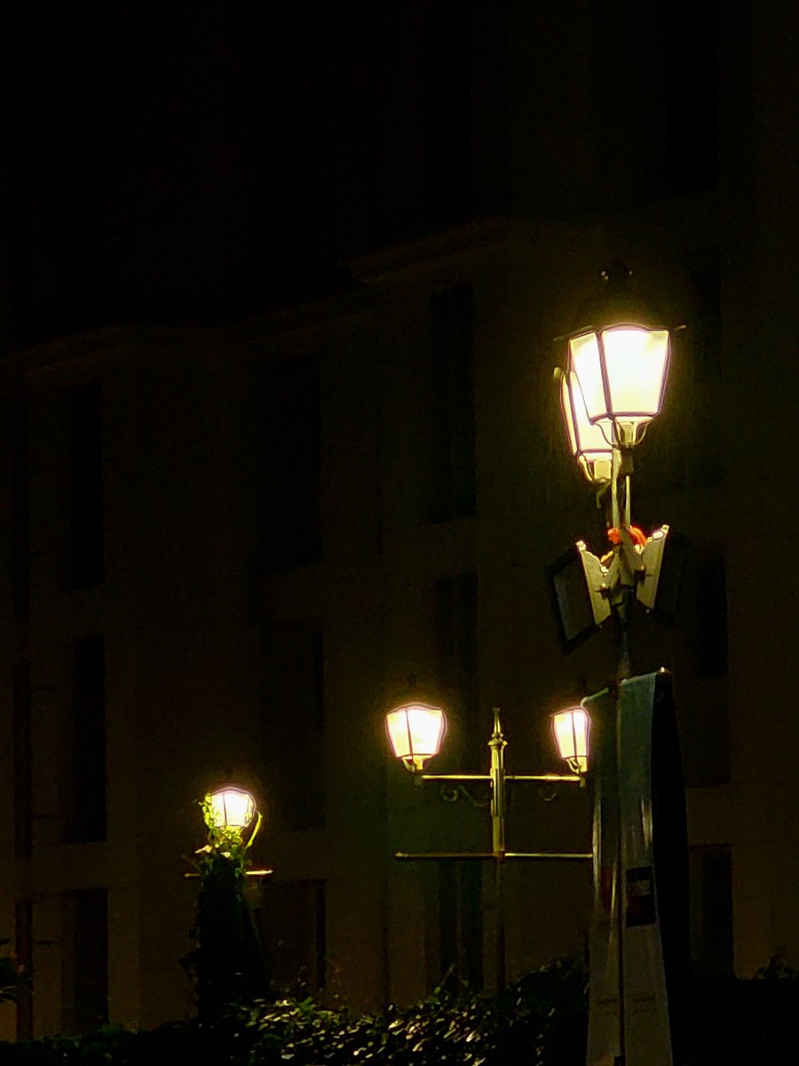 CosmicBit_'s tweet photo. street lamps and rain https://t.co/SsGiOYy9f7