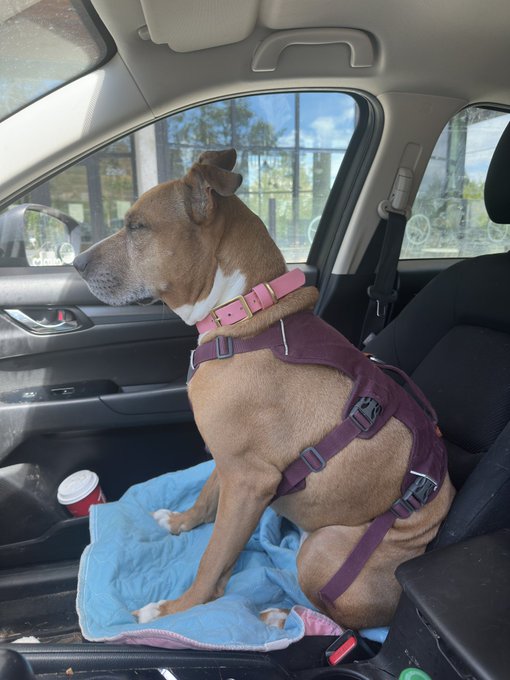 Watch Red 🇨🇦's leaked NSFW photo on TwXstars