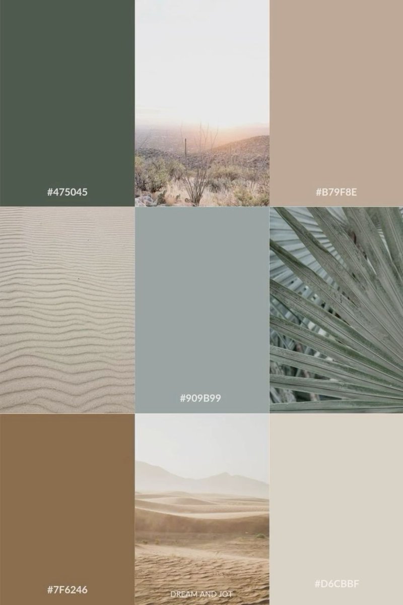 desert palette