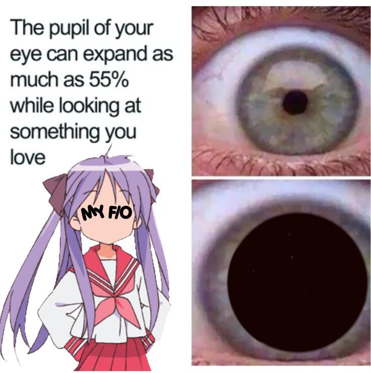 yumeshiparchive's tweet photo. this is so real ye guise .. so real trust
𖦹༄🍎‼️ #yumetwt #yumetemplate https://t.co/T5gpGGO5ar