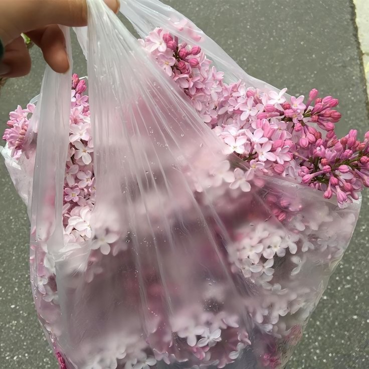 dearitself's tweet image. ⠀⠀⠀⠀⠀ ⠀ ⠀⠀
                Pretty⠀⠀⠀Girl ⠀⠀⠀ 🩰 ⠀⠀⠀  ❀᭢᜴꤬ ⠀
⠀⠀⠀⠀⠀ ⠀ ⠀⠀