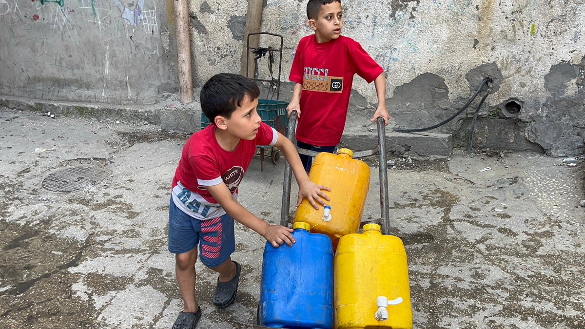 Dignity for Palestinians Campaign tweet media