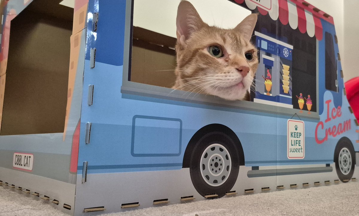 I have a summer job! Who wants ice cream?