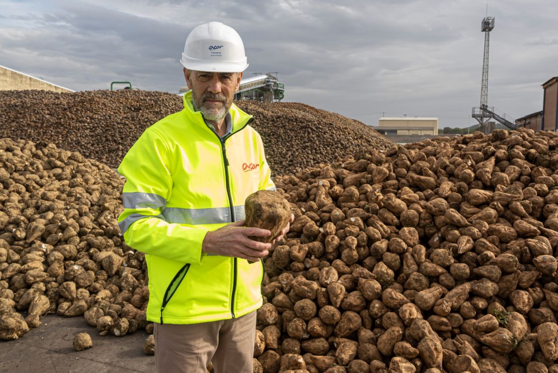 El #cultivo de la #remolacha en <a href="/ACOR_es/">ACOR</a> roza las 10.000 hectáreas  ow.ly/UhAY50VYHMo #colza #campo <a href="/urcacyl/">Urcacyl. Cooperativas agroalimentarias CyL</a>