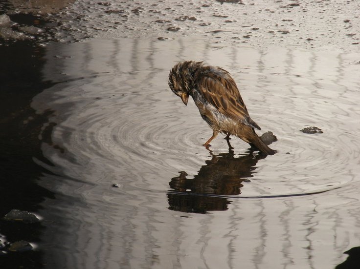 ^^^^^^^^^^^^^^^^^^^^^^^
Hani insan insana ilaçtı, bunca yaralı niye?..

#GeceyeNotum