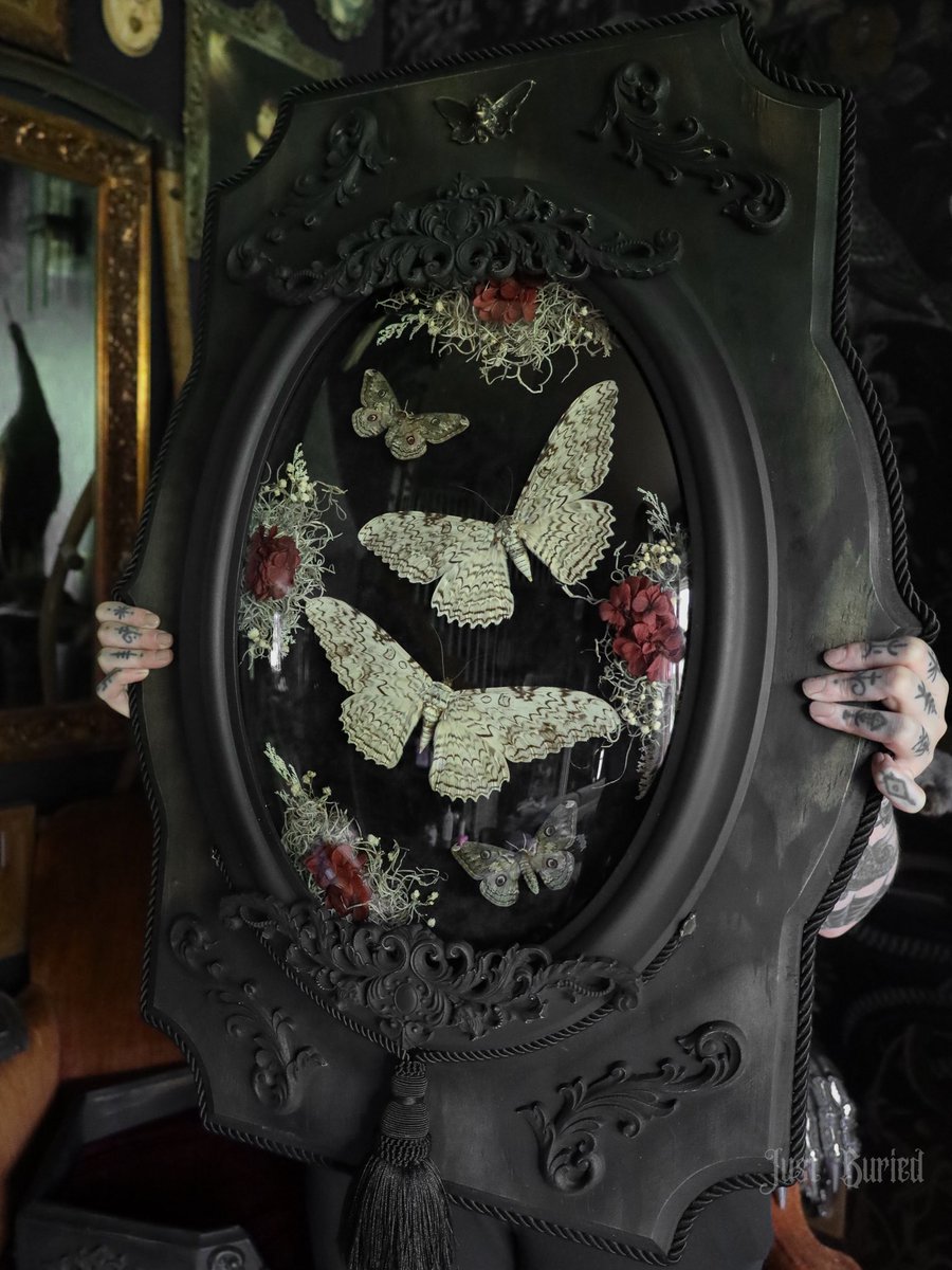 JUSTBURIED_CO's tweet photo. We can’t get enough of how beautiful this piece came together. Frame crafted in our wood shop, curated from start to finish through our lens of ~The Finer Things in Death🥀 https://t.co/wUWUMbxvvq