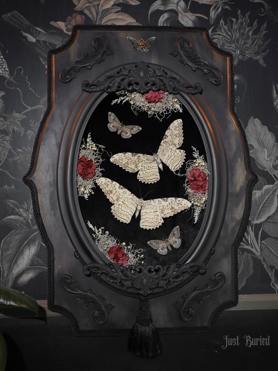 JUSTBURIED_CO's tweet photo. We can’t get enough of how beautiful this piece came together. Frame crafted in our wood shop, curated from start to finish through our lens of ~The Finer Things in Death🥀 https://t.co/wUWUMbxvvq