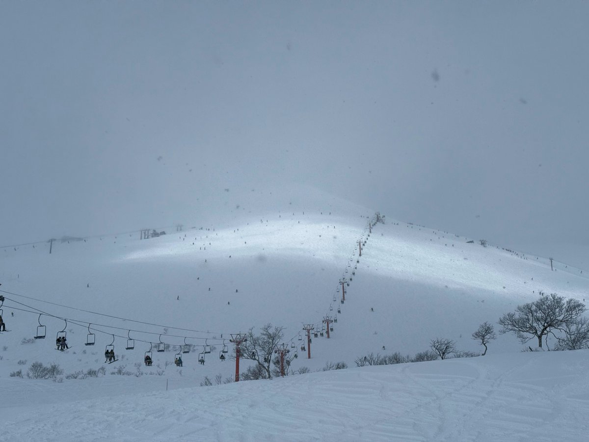 Adam Singer tweet media