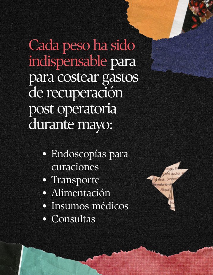 cecomun_'s tweet photo. 🙏🏽 Gracias a la ayuda de todas Ias personas solidarias hemos alcanzado el 20% de la meta de la campaña solidaria con #VidulfoRosales. Cada peso💲ha sido indispensable para su recuperación. 

Les invitamos a que sigamos apoyando en https://t.co/OoS8FuiBbb y en la rifa solidaria. https://t.co/9xo9ACtpqO