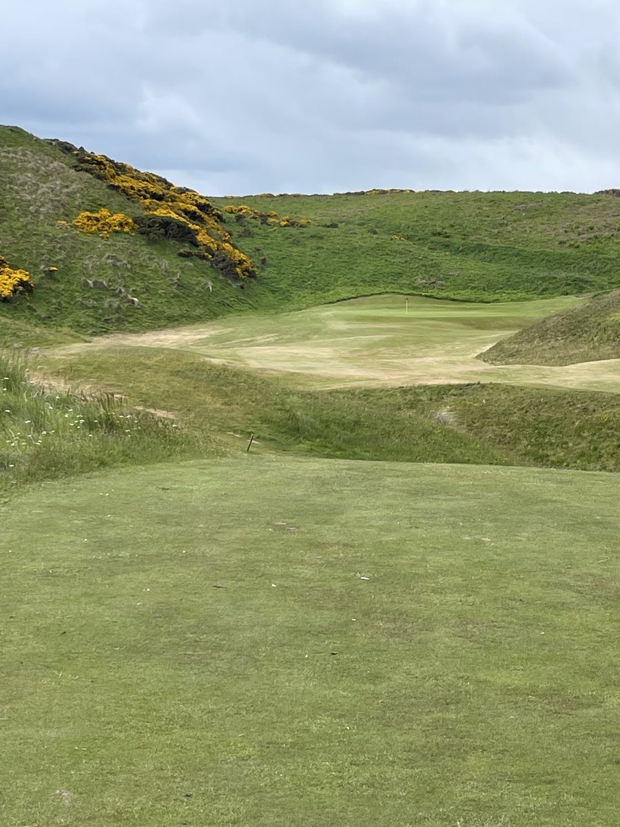 BK Top Golf tweet media