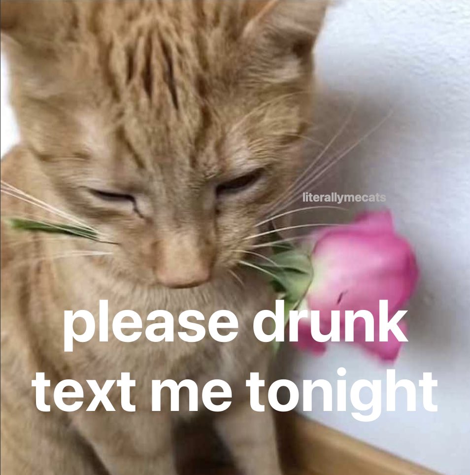 literallymecats's tweet image. 