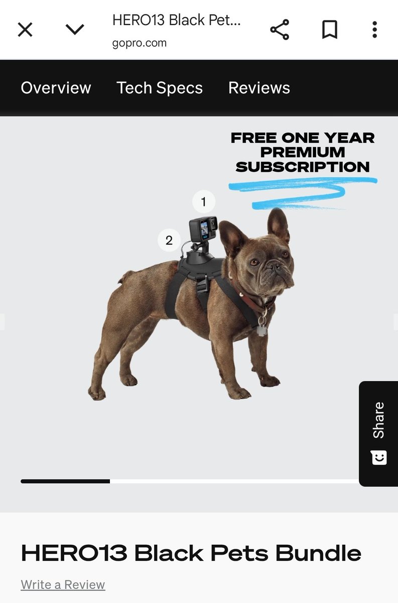 inthepixels's tweet image. $GPRO @GoPro #gopropets gopro.com/en/us/shop/cam…