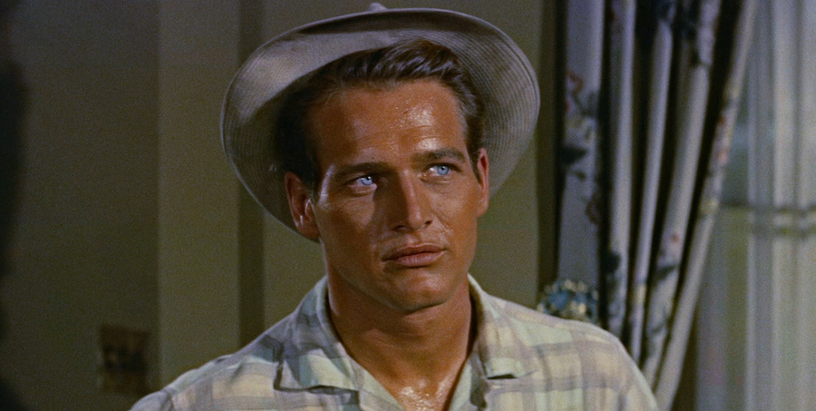 Enrique Barrera (@scnycc) on Twitter photo Mi meta para este verano es coger el bronceado de los actores de los años 50, ¿qué se echaría Paul Newman en la cara en "El largo y cálido verano"? #CineClásicola2 <a href="/PeliDeTarde/">Peli de Tarde</a> Mi meta para este verano es coger el bronceado de los actores de los años 50, ¿qué se echaría Paul Newman en la cara en "El largo y cálido verano"? #CineClásicola2 <a href="/PeliDeTarde/">Peli de Tarde</a>