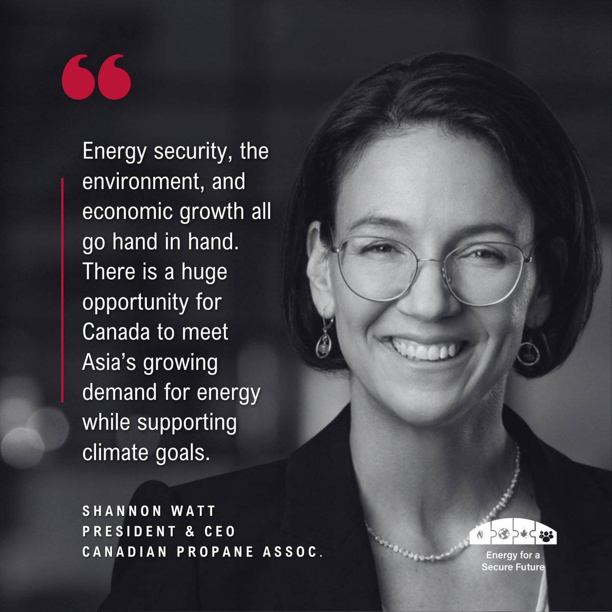 Energy for a Secure Future tweet media