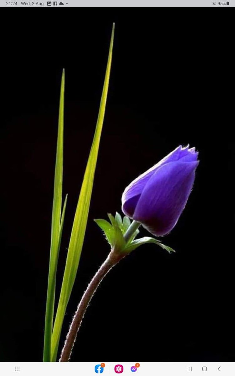 ♥️💫🌹

*إذا أهمك أمر غيرك فـاعلـم ... بأنك ذو طبع أصيـل ..*
*وإذا رأيت في غيرك جمـالاً .. فاعلم بأن داخلك جميل ..*
*وإذا حافظت على الأخوة .. فاعلم بأن لك على منابر النور زميـل ..*
*واذا راعيت معروف غيرك .. فاعلم بأنك للوفاء خليل ...*

♥️💫🌹