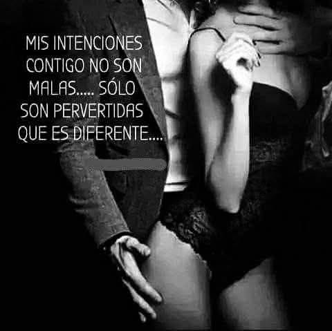 MD. BUSCANDO CÓMPLICES