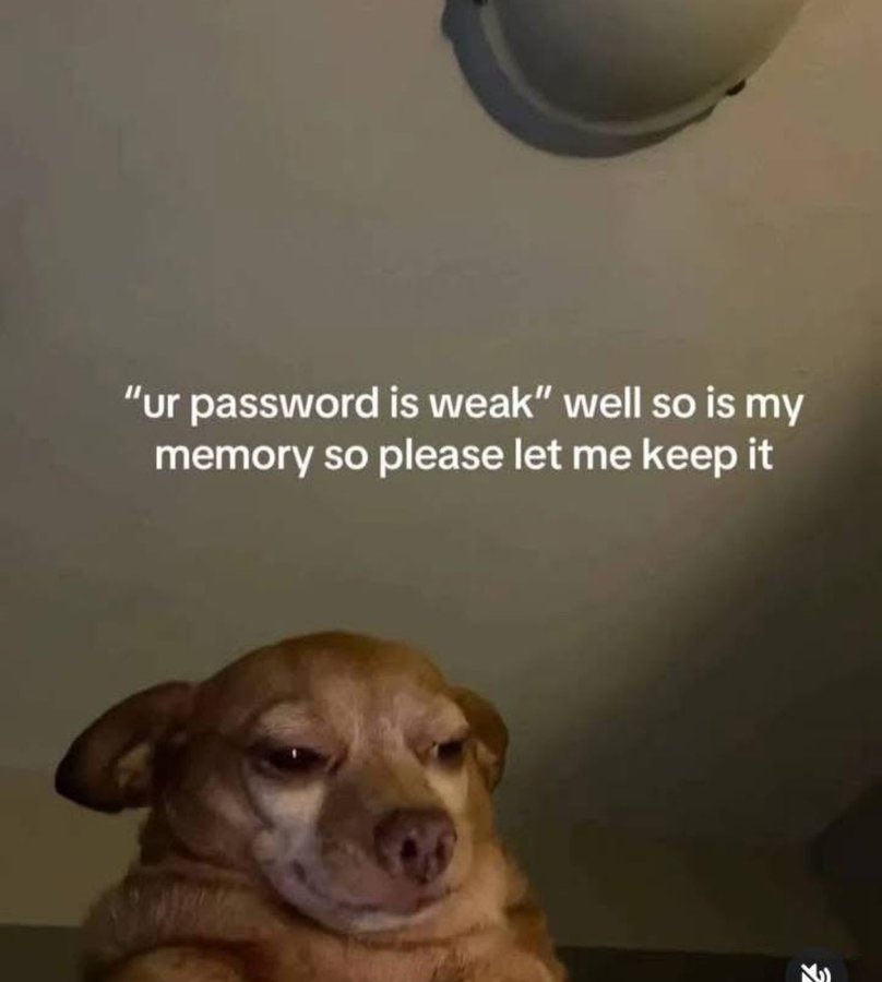 SteveStfler's tweet image. 