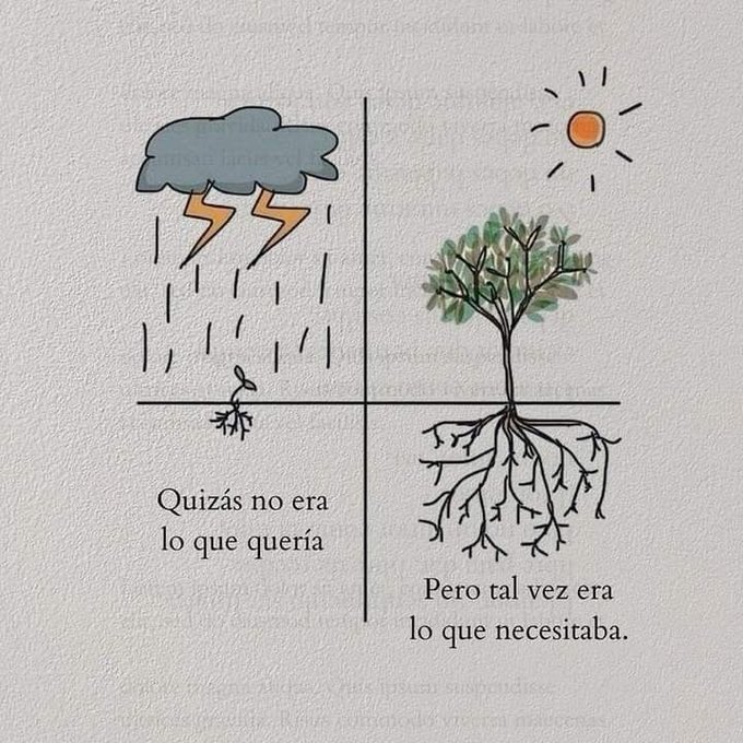 ArteCrear's tweet photo. 🌱 https://t.co/Wv4Kqa7vvd