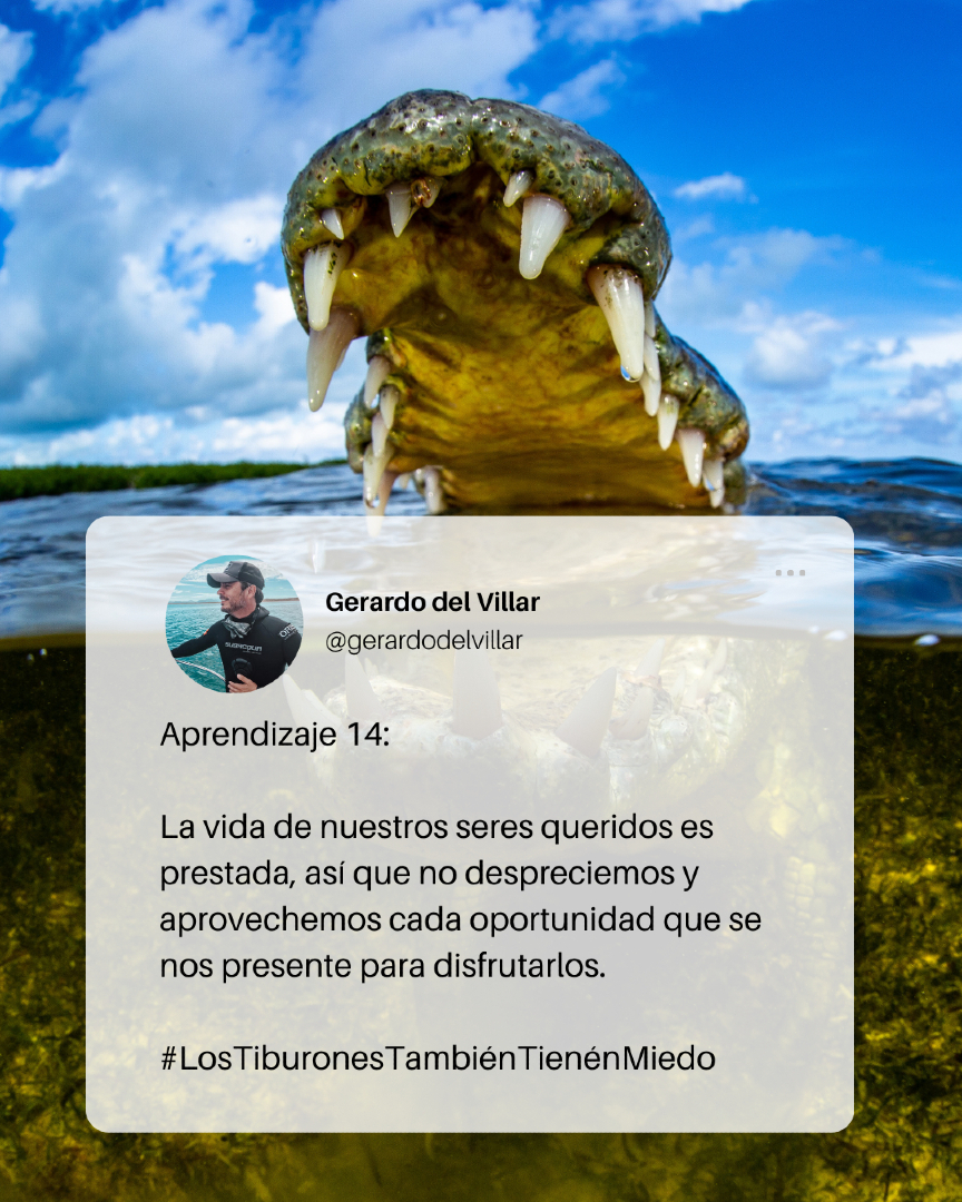Perder a mi hermana Alejandra fue como una mordida de cocodrilo al alma.
Duele. Te sacude.
Pero también me dejó un aprendizaje brutal:

La vida de quienes amamos es prestada.
Y no sabemos cuándo se vence ese préstamo.

Haz esa llamada.
Manda ese mensaje.
Abraza. Agradece.