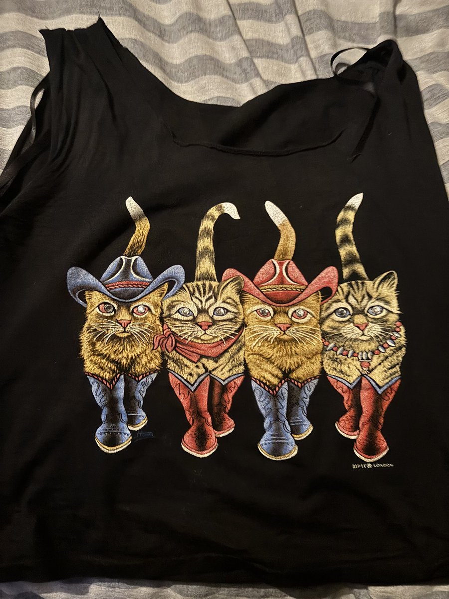 Country cats 😻🤠