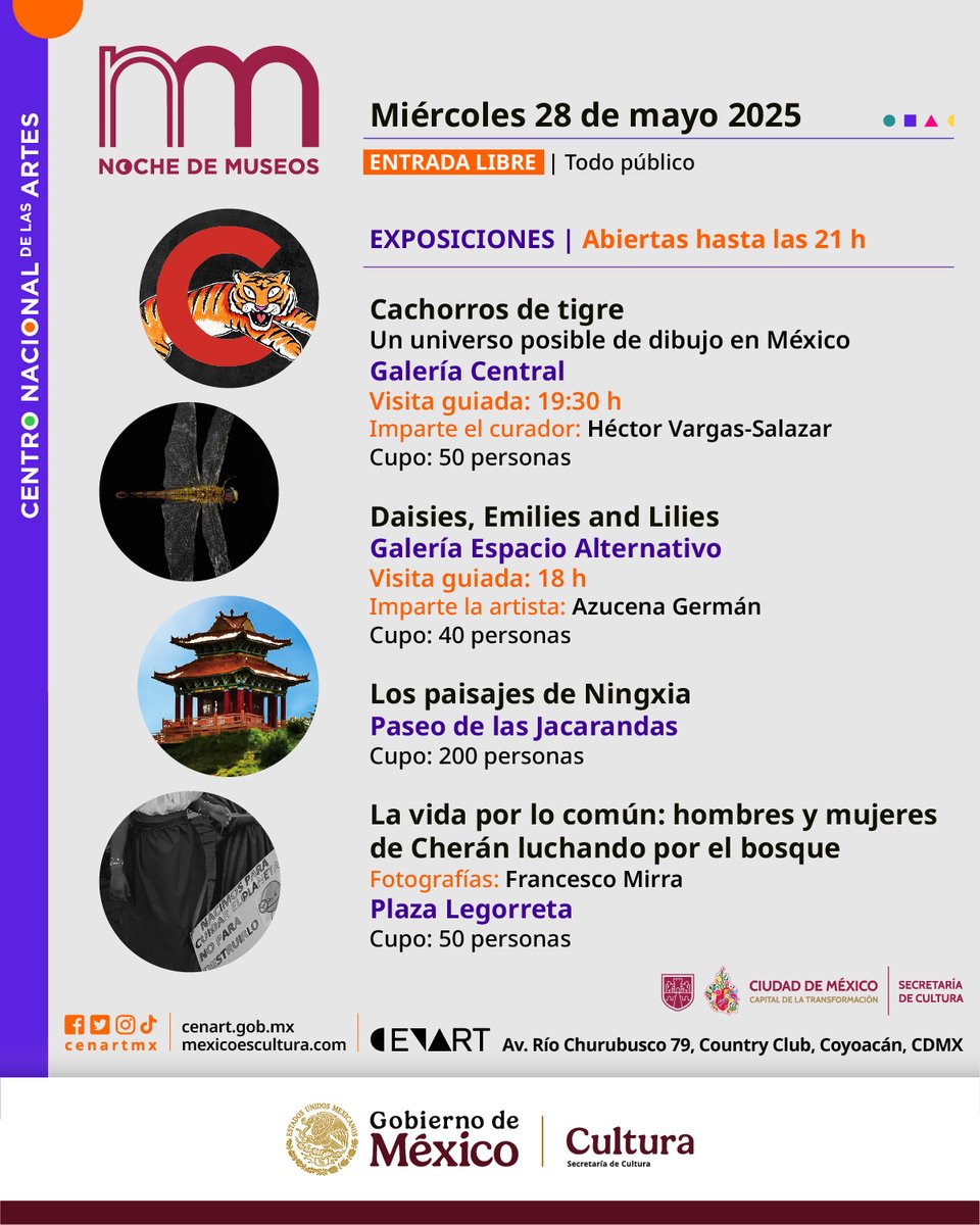 ¡Última oportunidad para ver Cachorros de tigre! No se pierdan esta exposición con 125 años de dibujo en México durante la Noche de museos 🐅✍️🌃