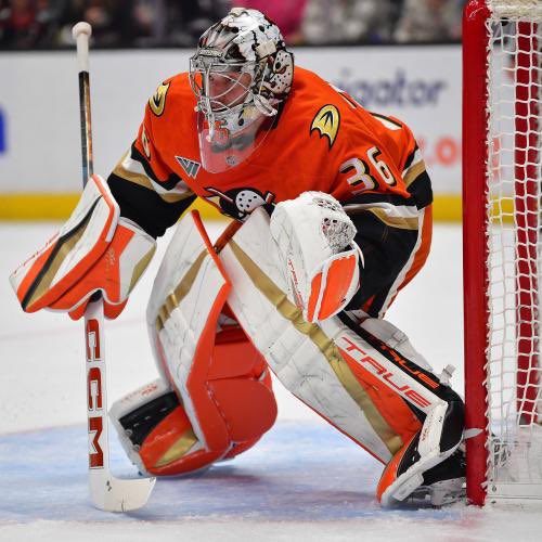 DucksDispatch tweet picture