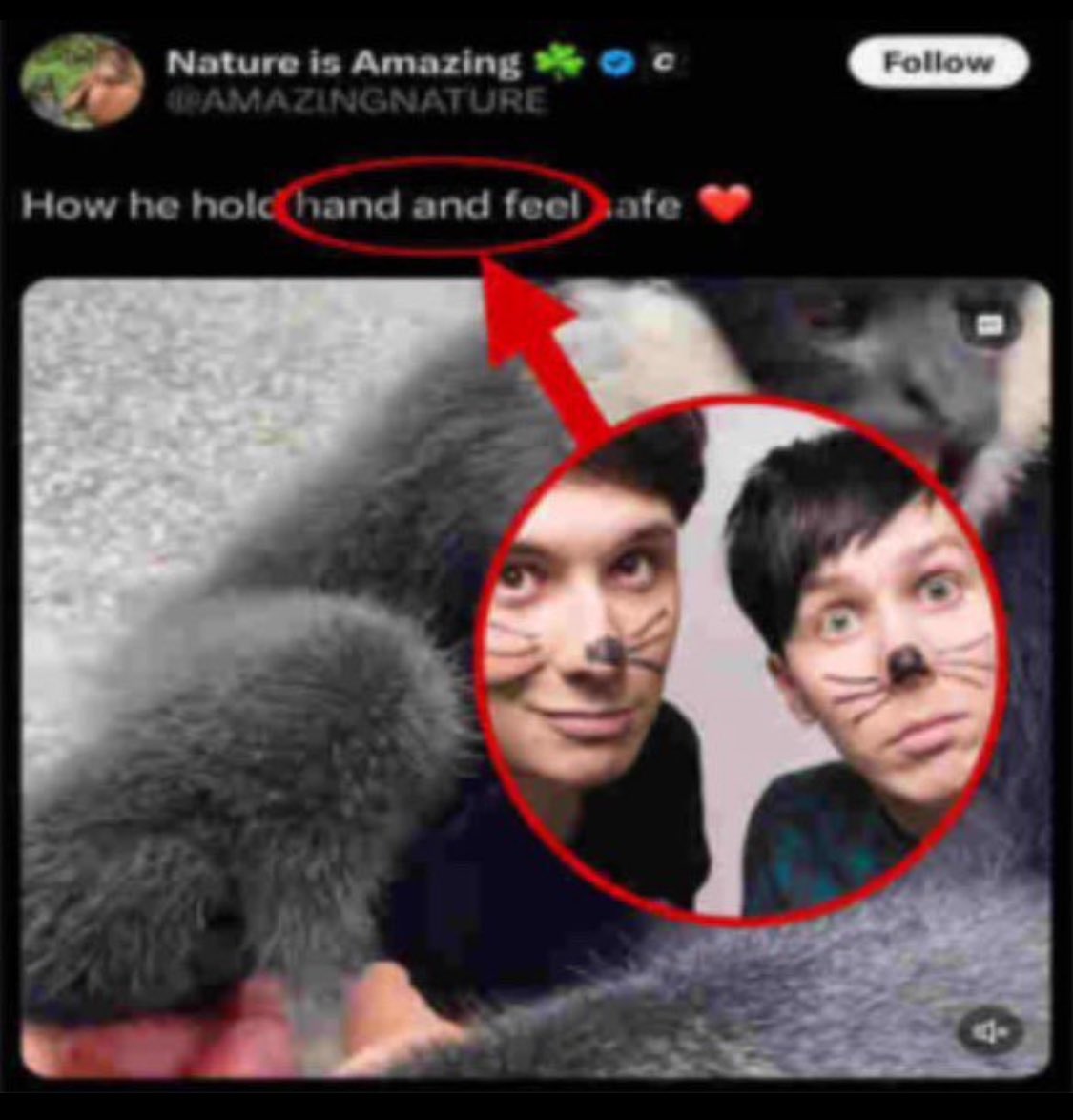 anthony ⚞•⚟ (@dieanearlygrave) on Twitter photo 