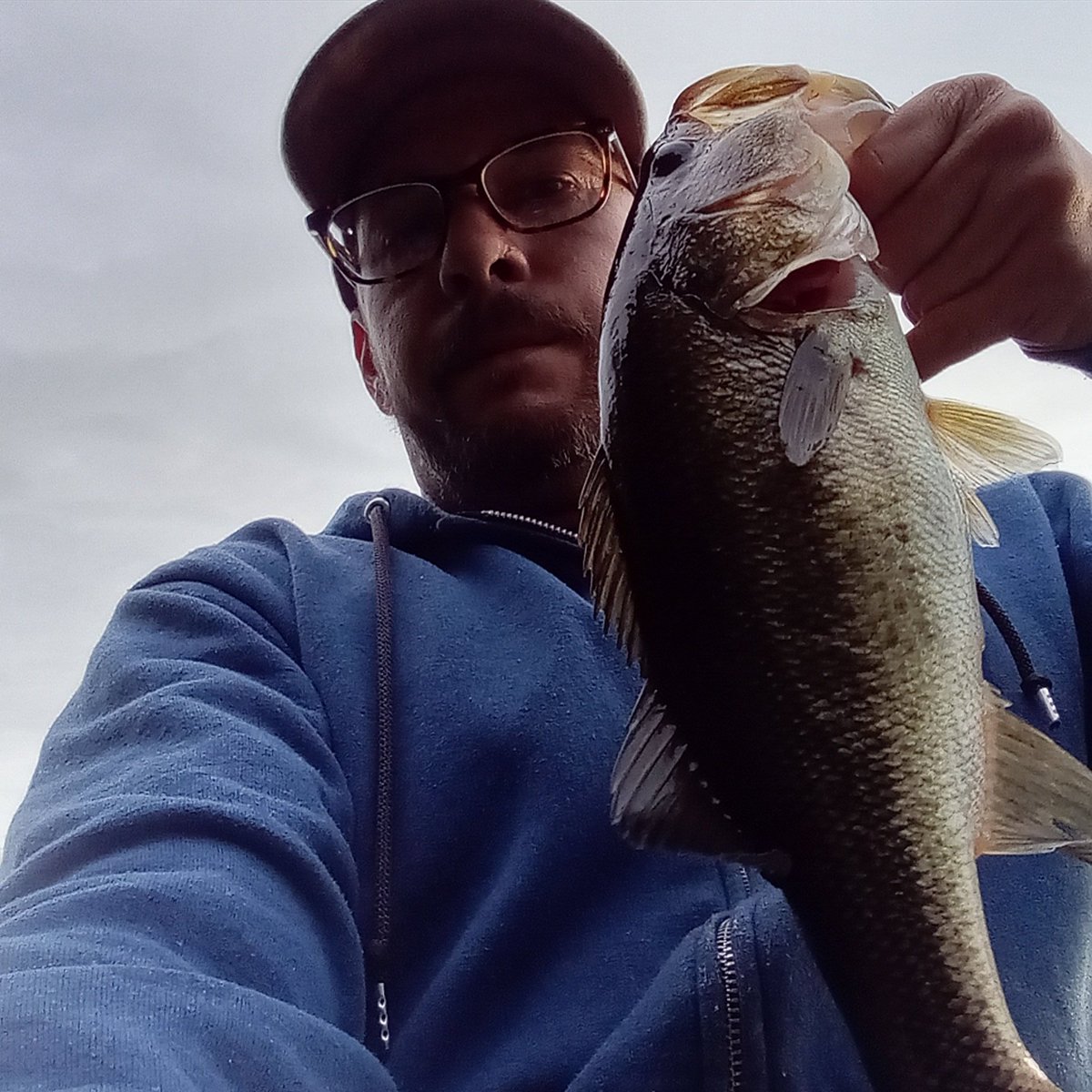 Memorial day was memorable! 🇺🇸 🫡 I hope you get stoned tonight and happy growing everyone ✌️