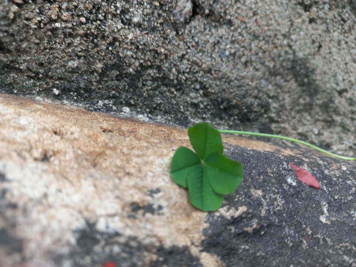 느린기록 tweet media