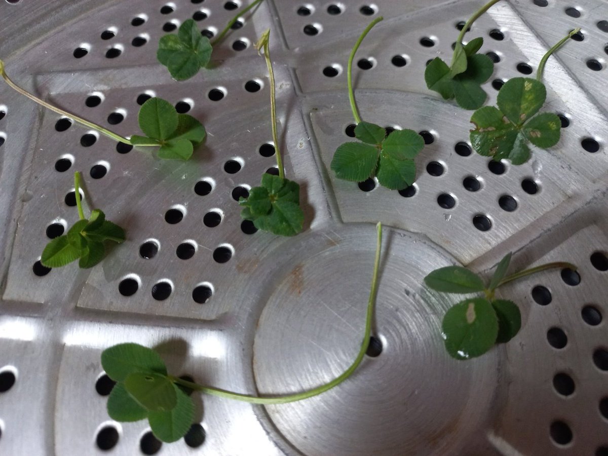 느린기록 tweet media