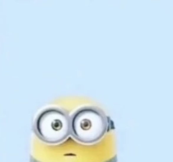 Airhead_Torenia's tweet image. Fries...