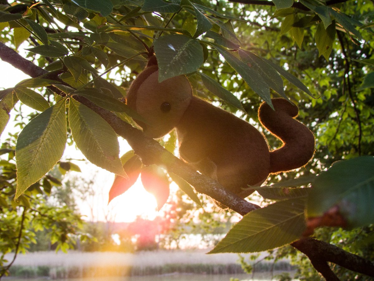 🔴scwerel 🔜 Polacon NYC 📸 tweet media