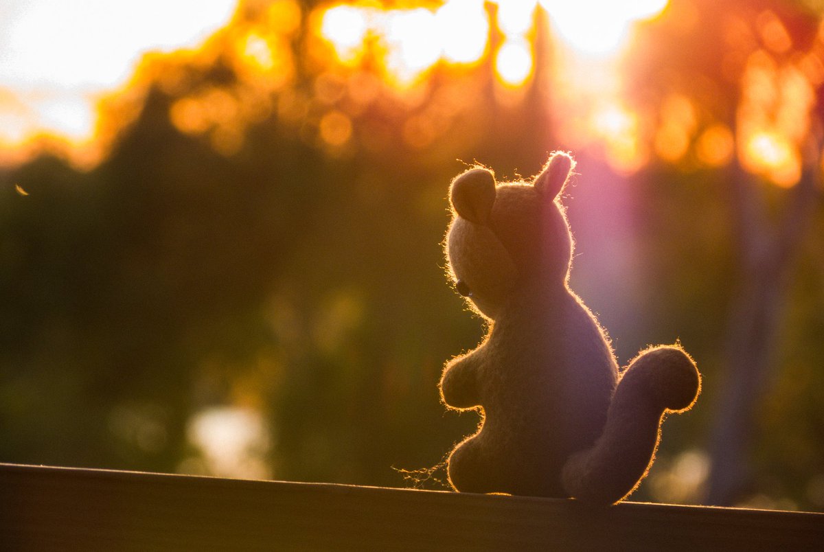 🔴scwerel 🔜 Polacon NYC 📸 tweet media