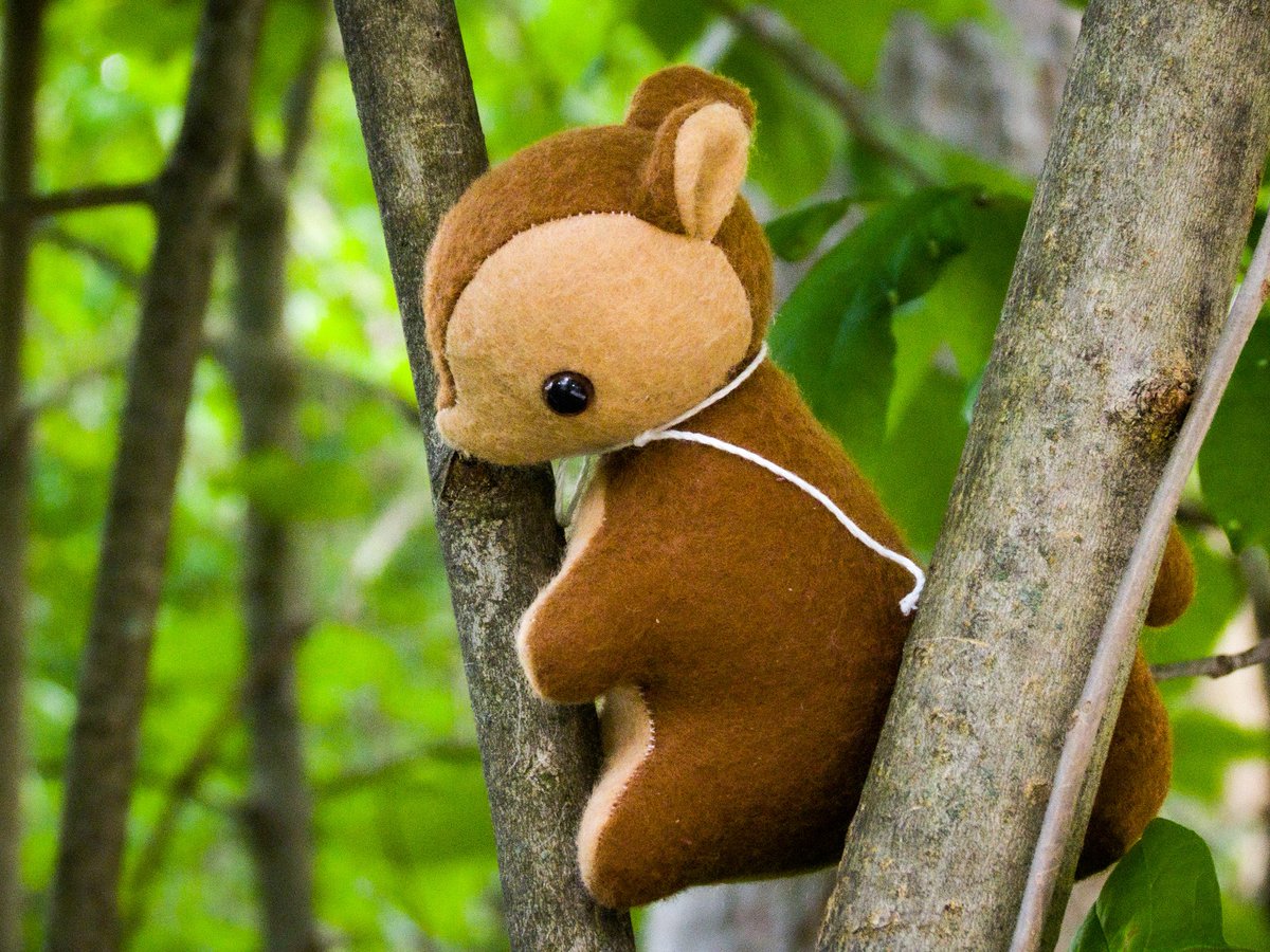 🔴scwerel 🔜 Polacon NYC 📸 tweet media