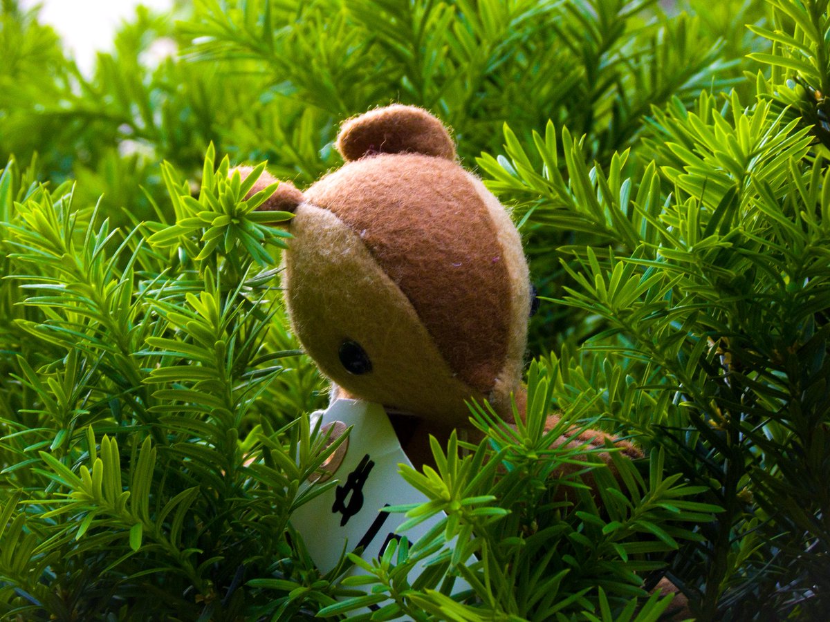 🔴scwerel 🔜 Polacon NYC 📸 tweet media