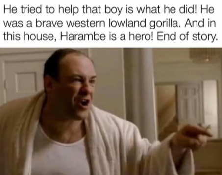 AgoristN's tweet photo. Harambe Day https://t.co/wOXtQfMPtS