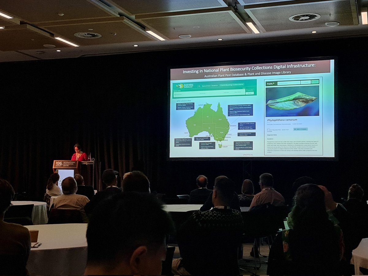 Plant Pathogens (APPS) tweet media