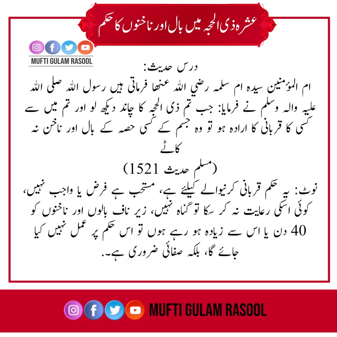 Mufti_G_Rasool's tweet photo. عشرہ ذی الحجہ میں بال اور ناخن کا حکم.
#muftigulamrasool
#qurbani https://t.co/i21SkYMXoN